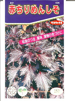 シソの種　サカタ・・・赤ちりめんしそ・・・＜サカタの赤シソです。　種のことならお任せグリーンデポ＞