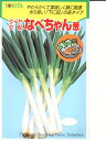トキタ種苗 ネギ ダイヤ交配・・・なべちゃん葱・・・