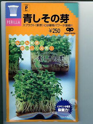 スプラウト種子　　青しその芽　＜中原採種場の青しその芽の種です。＞　