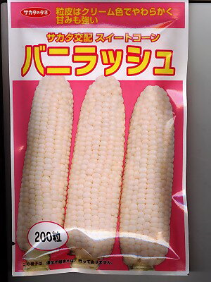 トウモロコシサカタ交配・・・バニラッシュ・・・＜サカタのトウモロコシです。種のことならお任せグリーンデポ＞