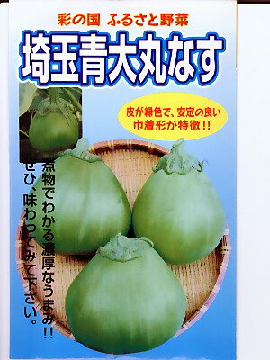 埼玉青大丸なす　地方野菜のなすの種です。　種の通販ならグリーンデポ埼玉の伝統野菜品種。珍しい青皮の巾着型なす品種。