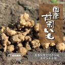 【送料無料】土付き国産生菊芋 5kg【5のつく日ポイント最大11倍/プレゼント】
