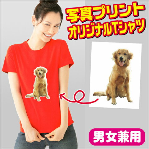 オリジナルTシャツ カラー 写真プリント おもしろTシャツ クリスマス 忘年会 新年会 オ…...:green-n-shop:10000008