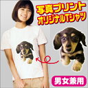 オリジナルプリントTシャツ/ホワイト写真プリント【おもしろTシャツ】【オーダーメイド】【チームTシャツ】