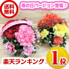 【送料無料・翌日配送】【カラフルポットアレンジメント】【生花・アレンジメント】誕生日/結婚祝い/出産/お祝い/お見舞い/ペット/還暦祝い/フラワーギフト/歓迎 退職/当日配達/即日配達/開店祝/御祝/お祝い/花/母の日