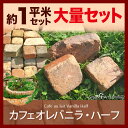 本物!アンティークレンガ/カフェオレバニラ・ハーフ 約1平米セット アンティークレンガ 割れレンガ お庭 ブロック 花壇 DIY ガーデニング 割れレンガ 割れ煉瓦 敷石 茶色 ベージュ クリーム【送料無料】【P変】【在100】oka◎