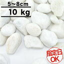  zCg  ʍ 嗝΂̔ʍ ʍ VR嗝 a5`8cm 10kg  h     0.13ĕ ~4cm 