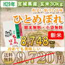 【新米予約】ひとめぼれ 玄米 宮城県産【送料無料】【0501_free_f】【1222RFD】