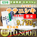 【新米】米 ササニシキ 玄米 30kg 宮城県産【送料無料】【0501_free_f】