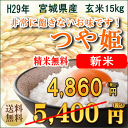 【新米】米 つや姫 15kg 宮城県産【宮城県_物産展】ふるさと割り【送料無料】
