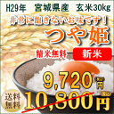 【新米予約】米 つや姫 30kg 宮城県産【宮城県_物産展】【送料無料】