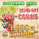 米 もち米 こもちまる 5kg 宮城県産【送料無料】【050...