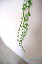 NEWグリーンネックレス【人工観葉植物】【造花】【