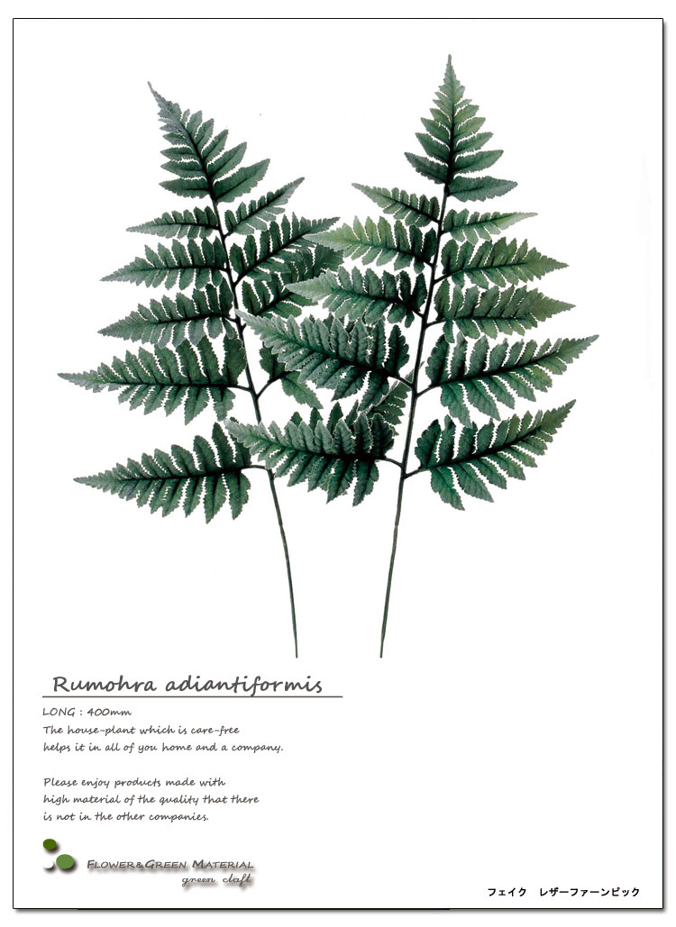 ȥ꡼եƥꥢ꡼ŹȲֺࡢǺࡢետʪȤǥȥեĩ魯ˤ쥶եԥåĹ40cmۡڥ᡼ľʡӾʡ¤̤֡ޡ