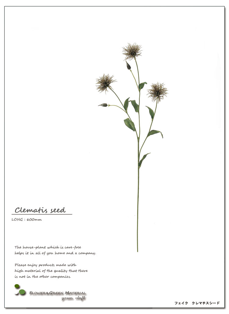 ȥ꡼եƥꥢ꡼ŹȲֺࡢǺࡢետʪȤǥȥեĩ魯ˤ⥯ޥɡĹ60cm5cmۡڥ᡼ľʡӾʡ¤̤֡ޡ