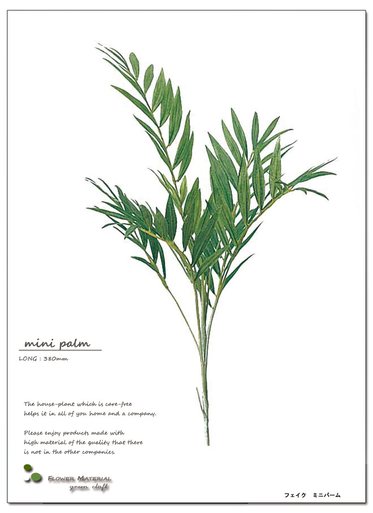 ȥ꡼եƥꥢ꡼ŹȲֺࡢǺࡢետʪȤǥȥեĩ魯ˤߥ˥ѡS)Ĺ38cmۡڥ᡼ľʡӾʡ¤̤֡ޡ