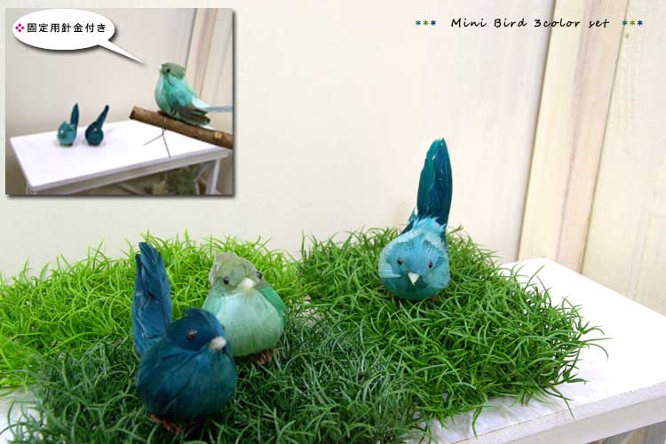 ȥ꡼եƥꥢ꡼Ź ͵ΥХǺࡢե¤֡տʪ եξĻեξ꡼С3ھʤʤޤ