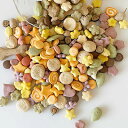 ¡Ú¥¥Ã¥Á¥ó¥É¥Ã¥°¡ÛKitchen Dog!¥ª¡¼¥ë¥¹¥¿¡¼¥º¡¡½Õ²Æver¡¡200g