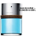【 アウトレット 】 バナナ リパブリック ワイルドブルー 100ML EDT SP ( オードトワレ ) BANANA REPUBLIC フレグランス 香水 メンズ バナリパ 人気 テスター 訳あり