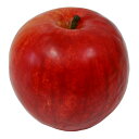 【食品サンプル】 アップル 直径8cm 3個セット リンゴ 林檎 りんご 果物 フルーツ フェイクフード 食品模型 オブジェ アレンジ ディスプレイ