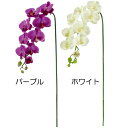 造花・胡蝶蘭・全長1.05m・3本セット(ファレノプシス/コチョウラン/こちょうらん)(人工観葉植物/アーティフィシャルフラワー/花材)(フラワーアレンジメント/ディスプレイ/装飾)(ギフト/お祝い/ウエディング)