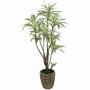 人工観葉植物 全高1.65m ドラセナ ユッカ 青年の木 エレファンティペス 人工樹木 造花 フェイクグリーン インテリアグリーン オブジェ ディスプレイ 装飾