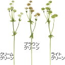 造花 アストランティア 全長58cm 2本セット 人工観葉植物 花材 フラワーアレンジメント