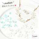 【アウトレット福袋】2ケースset(1ケース12枚×2色) ...