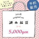 ▲【2018年末謎の福袋】予約販売 メール便送料無料 おまかせ謎袋5000円(税込) レジン液