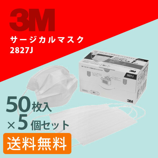 【5個セット】3Mスタンダード耳掛け式フェイスマスクマスク 2827J [50枚入り](スリーエム/...:greenpacks:10000165