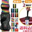 【メール便送料無料】重量計・TSAロック付きGPT