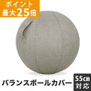 【ポイント最大25倍】GronG(グロング) バランスボール カバー 直径55cm対応
