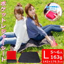 コンパクト ポケットレジャーシートLサイズ 軽量非常用 運動会 お花見 テーマパークピクニックシート 山登り 傘【ゆうパケット無料】