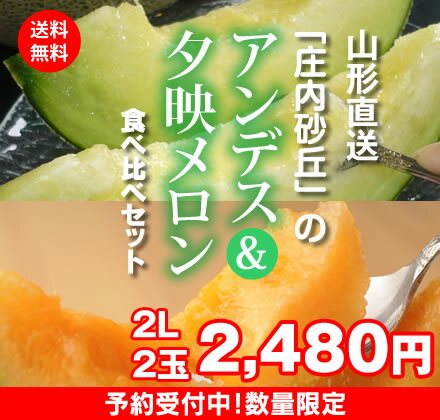 「庄内砂丘」のアンデス&夕映メロン 2Lサイズ2個セットで2,480円 【10P06jul10】山形メロン食べ比べセット！