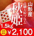 山形産-人気の高級大粒プラム「秋姫」 送料無料で2,100円