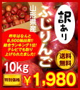 1980円!山形産「訳あり」ふじりんご10kg【送料無料】【smtb-t】