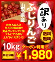 クーポン利用で1,980円！山形産「訳あり」ふじりんご10kg総出荷量2万箱突破！楽天総合ランキング1位獲得！！