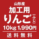 加工用・生食不可 山形りんご(ふじ)10kg【送料無料】...