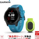 【2,000円OFFクーポン有】【無金利ローン可】 ガーミン...