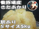 えっ!養豚場がじゃがいも(きたあかり)!?送料無料☆土付訳ありSサイズ5キロ千葉県産!良質な堆肥をふんだに使用し栽培☆お試し品!千葉県産新わけありジャガイモ(キタアカリ)古川養豚場産じゃが芋(北あかり)