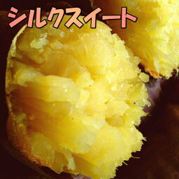 【<strong>2kg</strong>増量】3kg→5kg<strong>シルクスイート</strong>2箱で送料無料!さつまいも!甘くなめらか(絹芋)豚が育てたさつま芋千葉県産薩摩芋