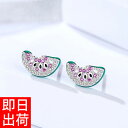 ピアス レディース/豪華48石 計0.24ct スイカ ピアス すいか 西瓜 夏 シルバー925 プラチナ仕上 アクセサリー ジュエリー