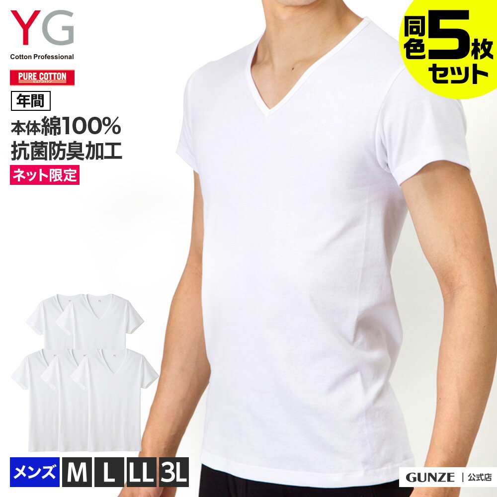 送料無料 まとめ買い グンゼ Vネック Tシャツ 綿100 お得セット 5枚組 抗菌防臭加工 メンズ 下着 半袖 V首 <strong>大きいサイズ</strong> 男性用 アンダーシャツ 肌着 紳士 コットン 白 5P YG ワイジー インナー メンズインナー SETM082 M-3L YV0015V