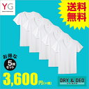 GUNZE(グンゼ)/YG/ネット限定お得セット YG D&D VネックTシャツ5枚セット(V首)(紳士)/SETM089