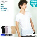 ポイント10倍 5/9 20:00~5/16 01:59 セール SALE 汗取りパッド付 Vネック Tシャツ GUNZE グンゼ ADVANCE LABEL アドバンスレーベル メンズ MA9115 M-LL V首 インナー 吸汗速乾 汗 天竺 涼しい 無地 ホワイト 白 黒 M-LL 汗取り付 脇汗パッド 春夏 GUNZE11