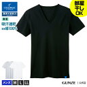 ポイント10倍 5/9 20:00~5/16 01:59 セール SALE GUNZE グンゼ COOLMAGIC クールマジック VネックTシャツ メンズ MCA315 M~LL V首 インナー 速乾 乾く 涼しい 綿100% コットン 綿 汗 ニオイ 臭い 部屋干し ドライ さらさら 春夏 GUNZE11