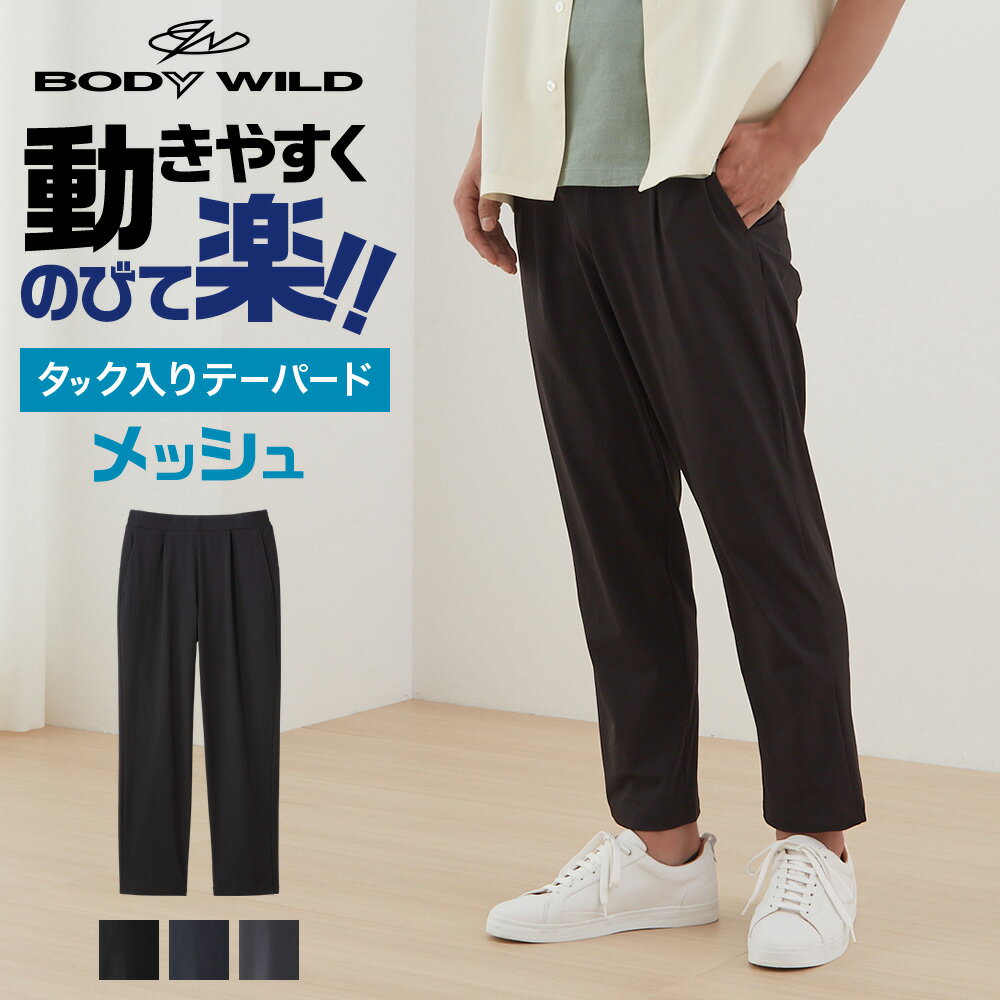 グンゼ テーパード <strong>ストレッチパンツ</strong> <strong>メンズ</strong> 春夏 スラックス タック入り ライトテック メッシュ ポケット付き ウエストゴム 紳士 楽 伸びる 超伸び 涼しい メッシュ ズボン レギンスパンツ イージーパンツ BODY WILD BDT171 M～L