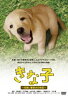 [DVD] きな子〜見習い警察犬の物語〜