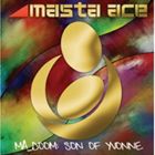 [CD] マスタ・エース＆MFドゥーム／MA＿ドゥーム： サン・オブ・イヴォンヌ