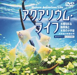 [DVD] ANAEECt ʂMыƐ̏F
